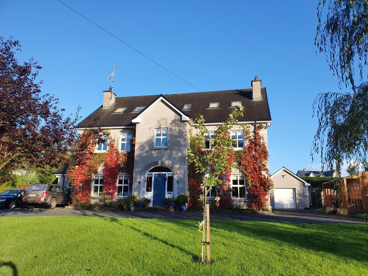Lynster House Hotel Monaghan Buitenkant foto